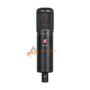 sE Electronics sE2200 Cardioid Studio Condenser Microphone