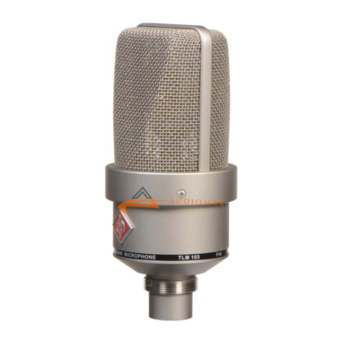 Neumann TLM 103 Large-Diaphragm Cardioid Condenser Microphone.