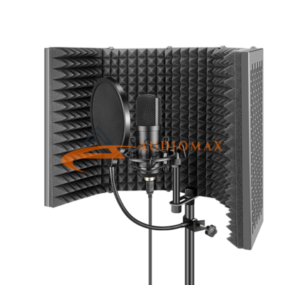 studio microphone reflection filter
