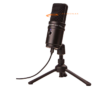 Zoom ZUM-2 USB Microphone